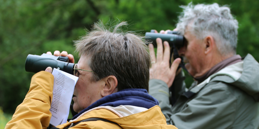 Comptage participatif d'oiseaux © Nicolas Macaire / LPO